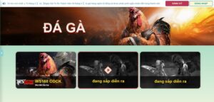 Sứ mệnh của nhà cái đối với người chơi